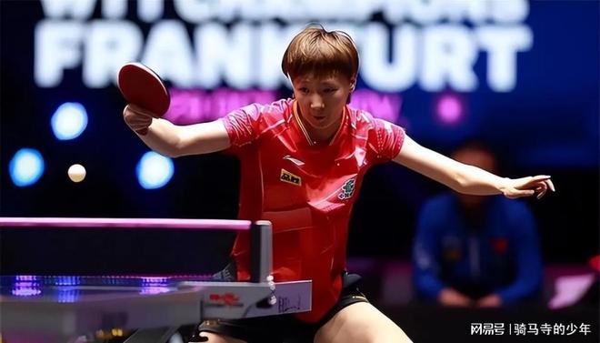 新的高度 新的高度