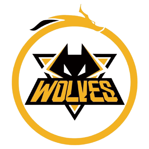 巴西队一直 巴西队一直