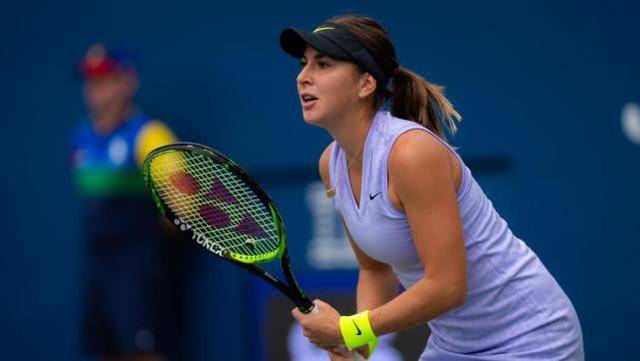 案以应对 案以应对