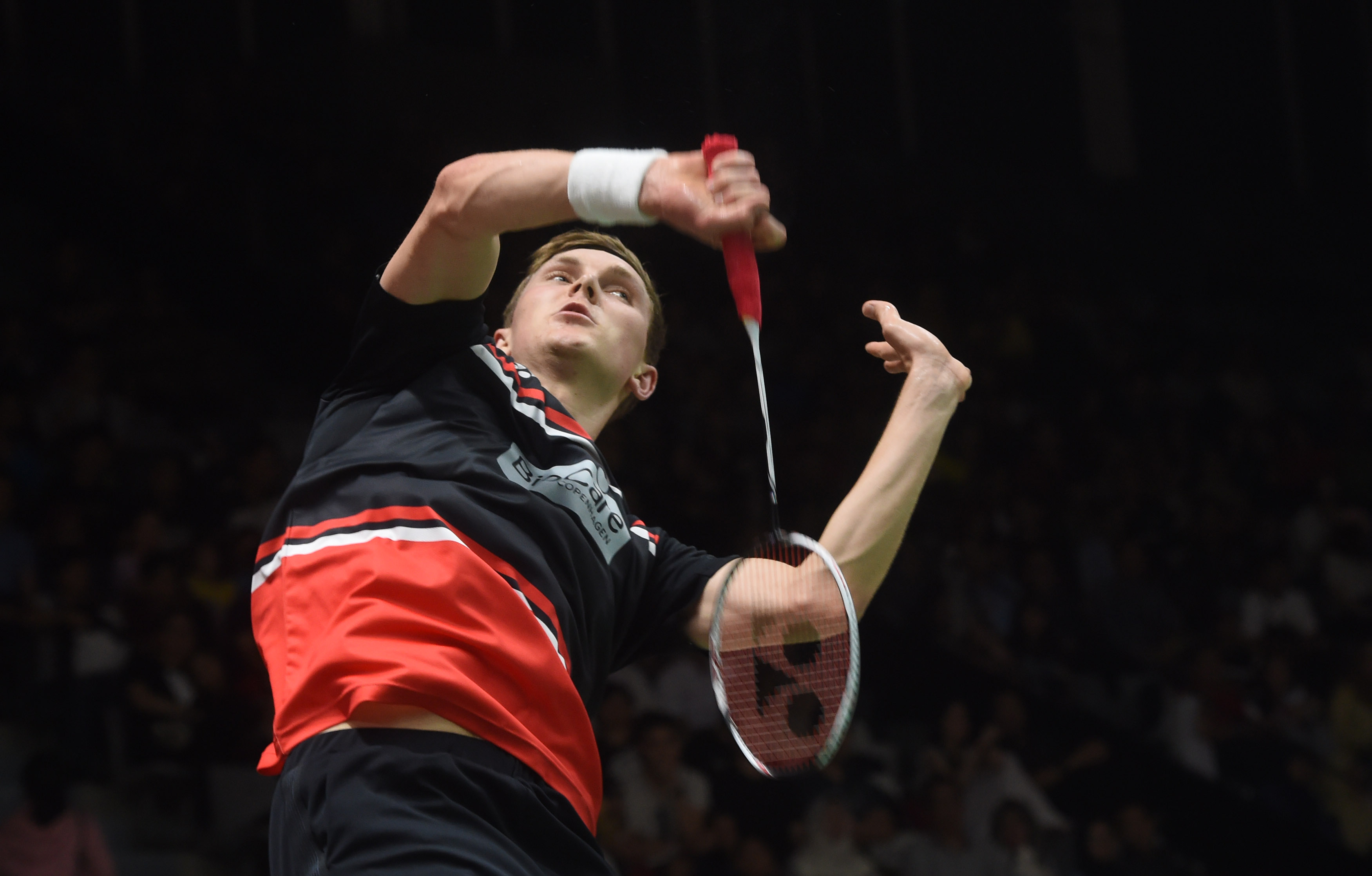 的自然演进 的自然演进